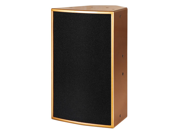 Professional Speaker